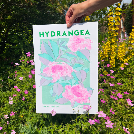 A person holding a risograph print in front of some flowers. Trint is a bright illustration of hydrangea flowers.