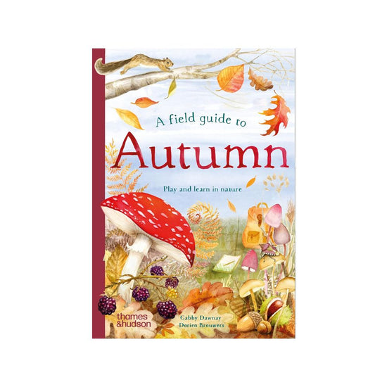 A Field Guide to Autumn