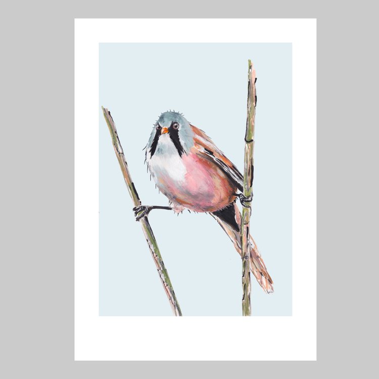 Bearded Tit Print (A4)