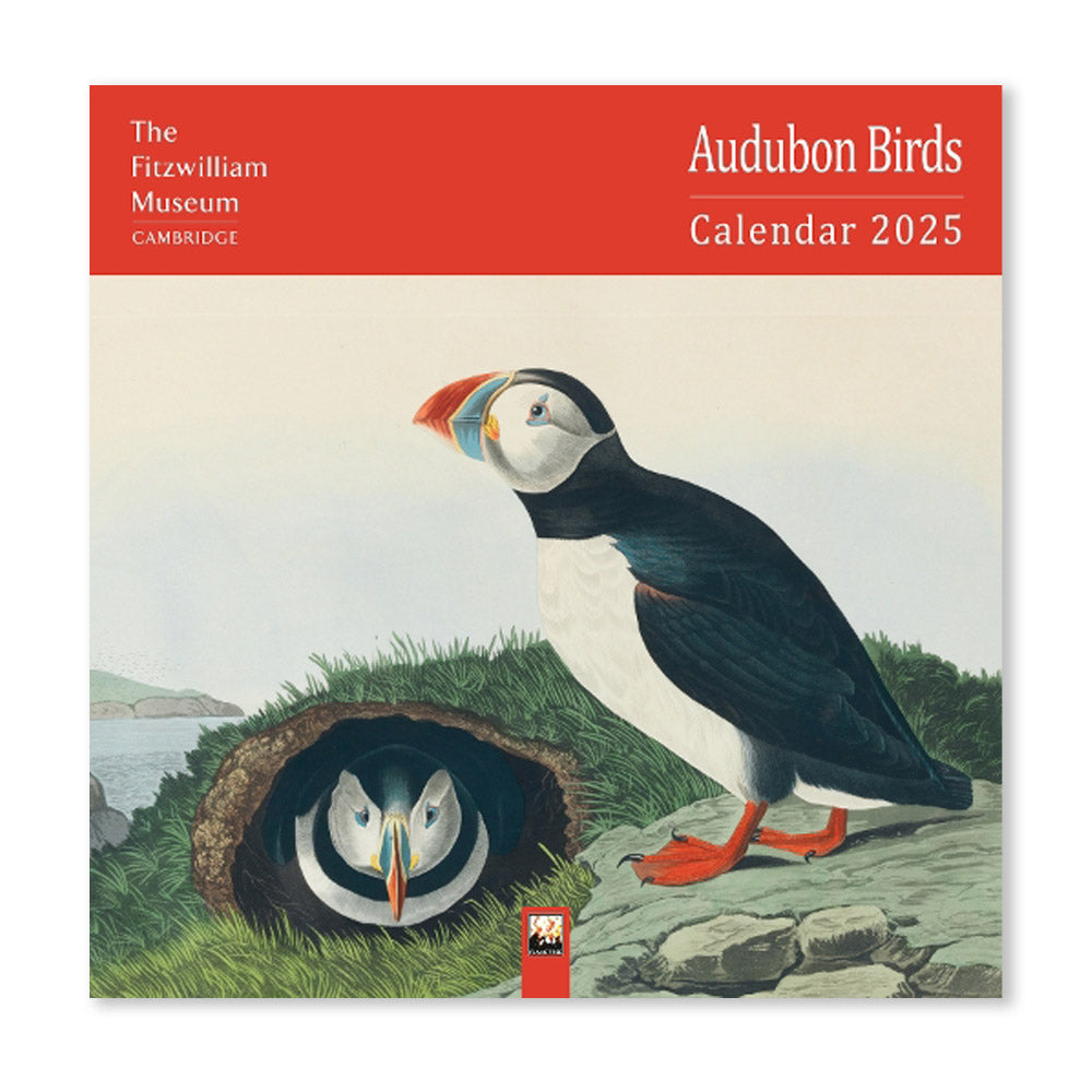 A 2025 calendar featuring Audubon Birds from the Fitzwilliam Museum in Cambridge. The cover image is a colorful illustration of two puffins, one standing on a rock and the other peeking out of a burrow. The Fitzwilliam Museum logo is also included.