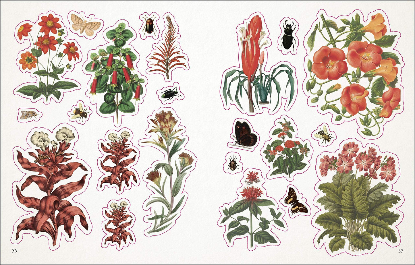 Botanists Sticker Anthology