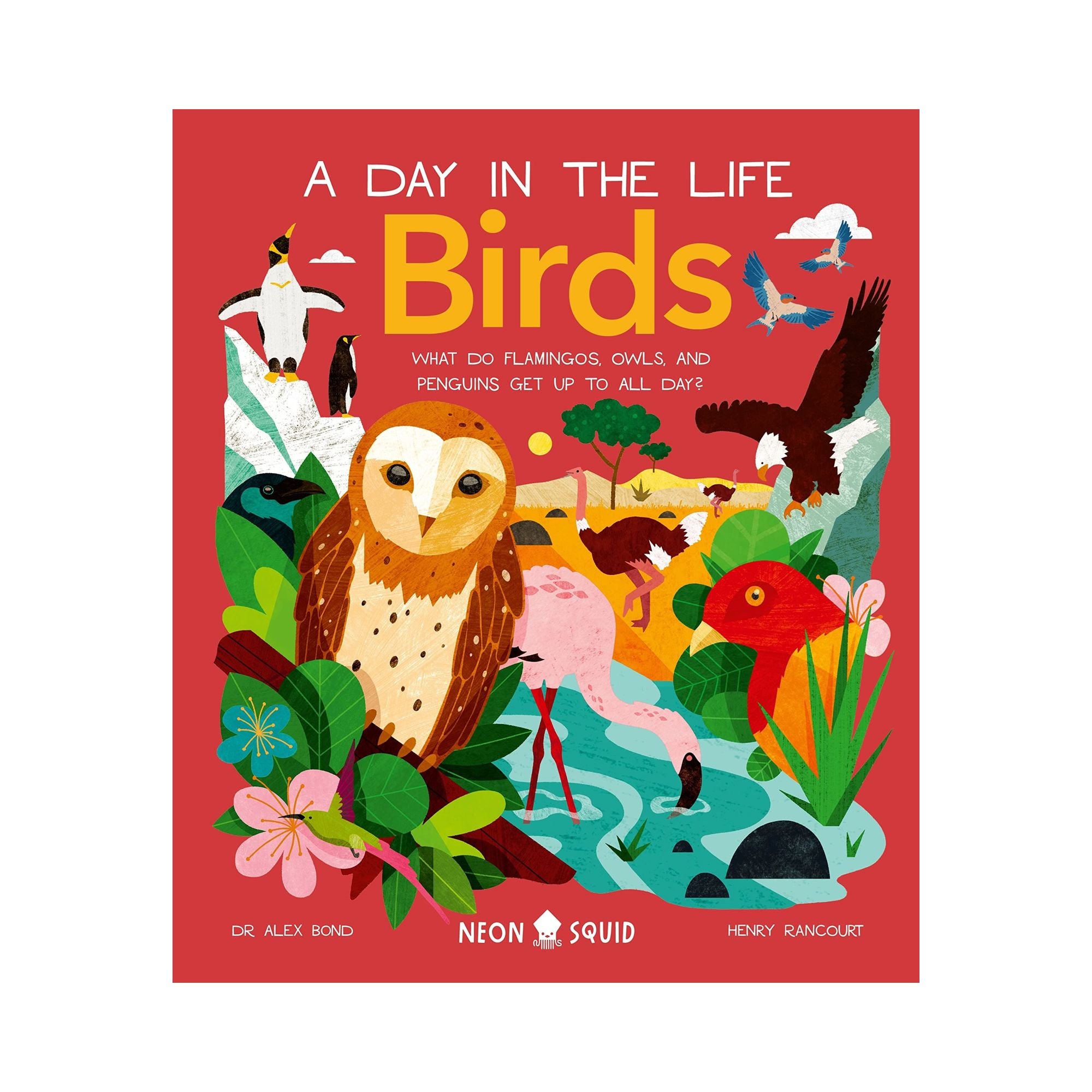 A Day in the Life: Birds