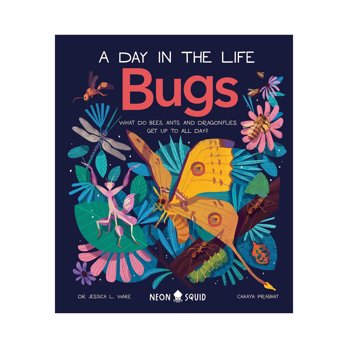 A Day in the Life: Bugs