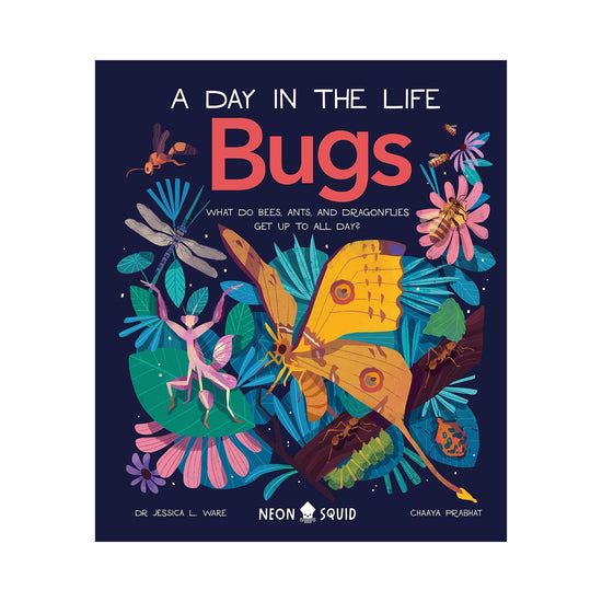 A Day in the Life: Bugs