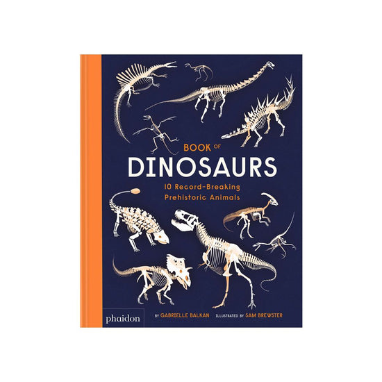 Book of Dinosaurs