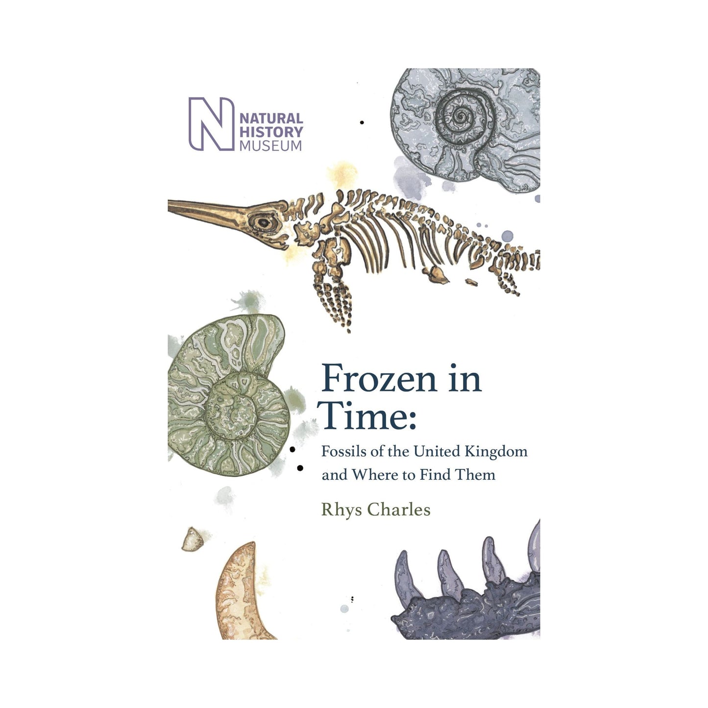 Frozen in Time: Fossils of Great Britain