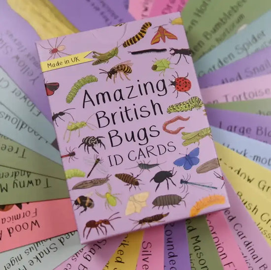 Packaging for Card game with illustrations of bugs, on top of a series of the cards within the set