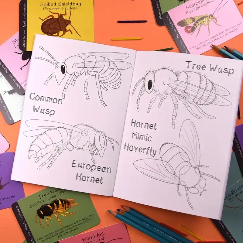 Inside pages of an activity book with illustrations of bugs