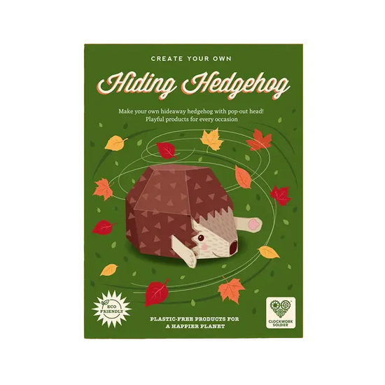 Front of the packaging the hiding hedgehog set comes in. It shows a graphic of the assembled hedgehog in the middle with autumnal leaves swirling around it on a green background.