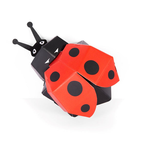 The assembled ladybird on a white background.