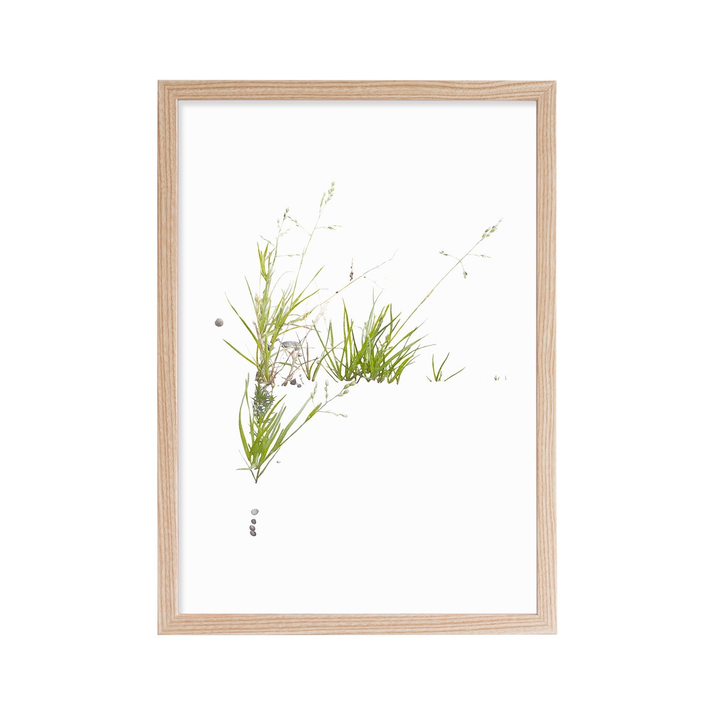 Printed reproduction of an image of Meadow Grass against a white background in ash frame