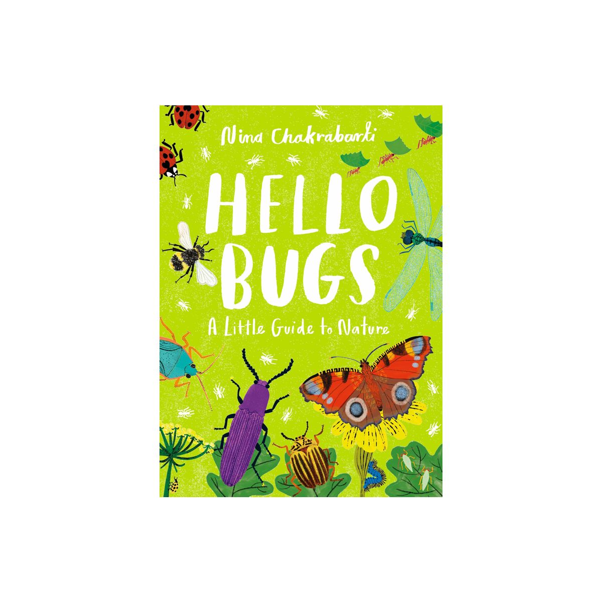 Hello Bugs: A Little Guide to Nature