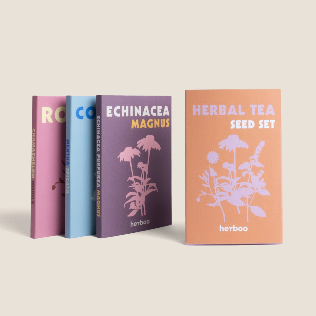 Four small boxes of flower seeds are shown, standing upright. Three are next to each other, showing their spines which read "CHAMOMILE BODH GOLD", "MINT SPEARMINT", and "ECHINACEA PURPUREA MAGNUS". The fourth box stands slightly apart and faces forward, with a light orange background and lilac drawings of plants. 