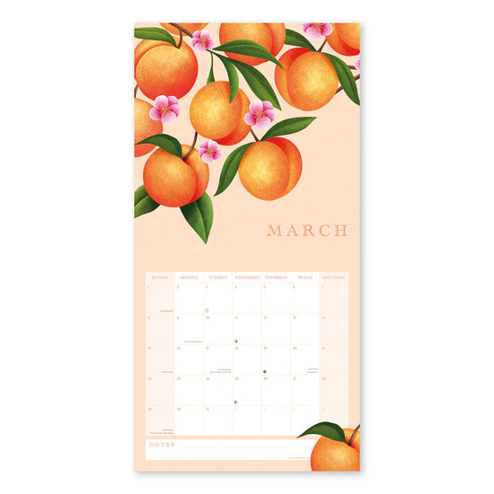 Calendar with peach and flower design on a white background