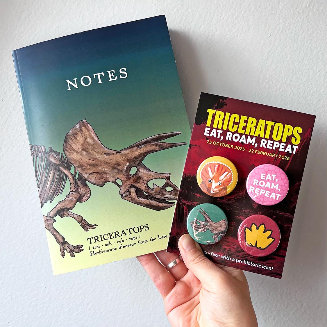 Notebook with triceratops design and a set of pin badges held by a hand on a white background