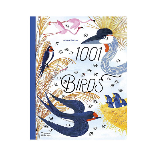 1001 Birds