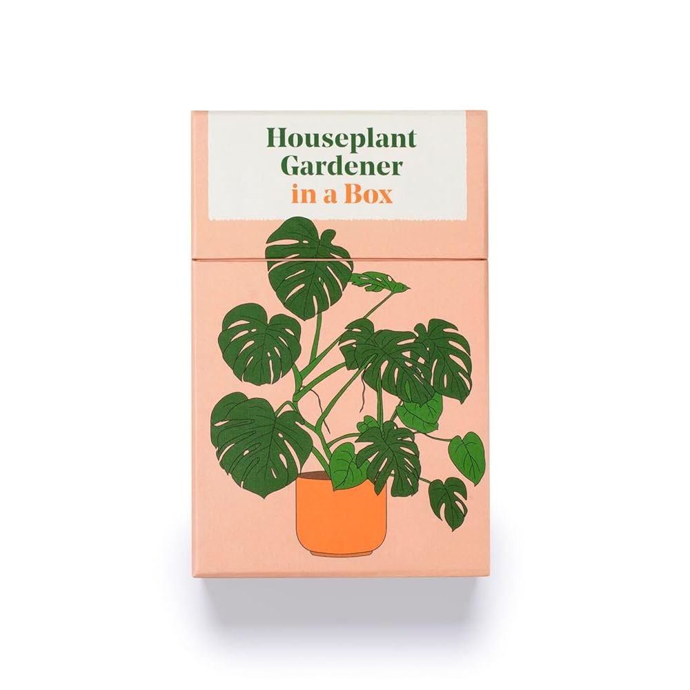 Front of the box with cards. A monstera illustration filling most of the soft pink with green and pink text at the top: Houseplant garderner in a box.