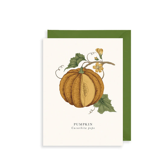 Load image into Gallery viewer, Pumpkin Greetings Card
