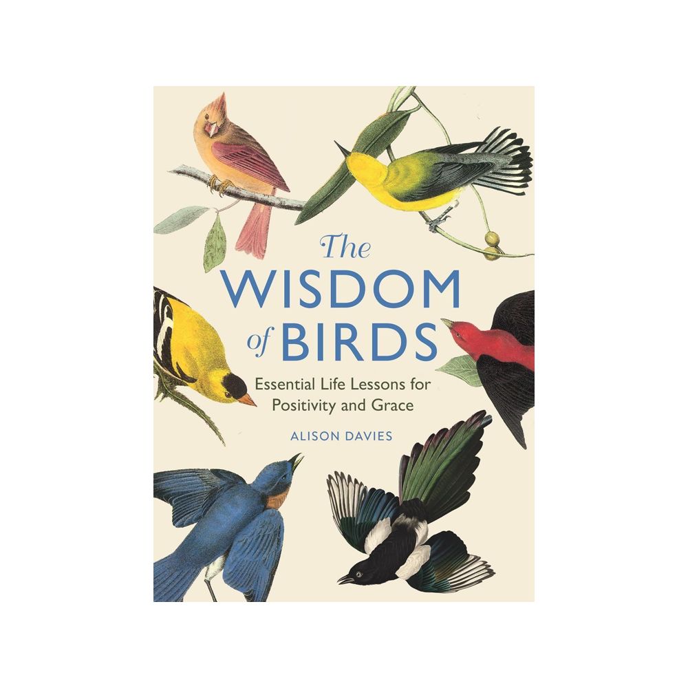 The Wisdom of Birds