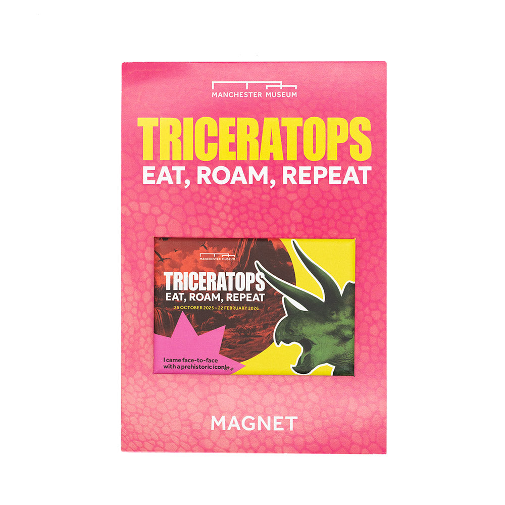 Colourful Triceratops-themed magnet on a white background