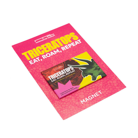 Colourful Triceratops-themed magnet on a white background