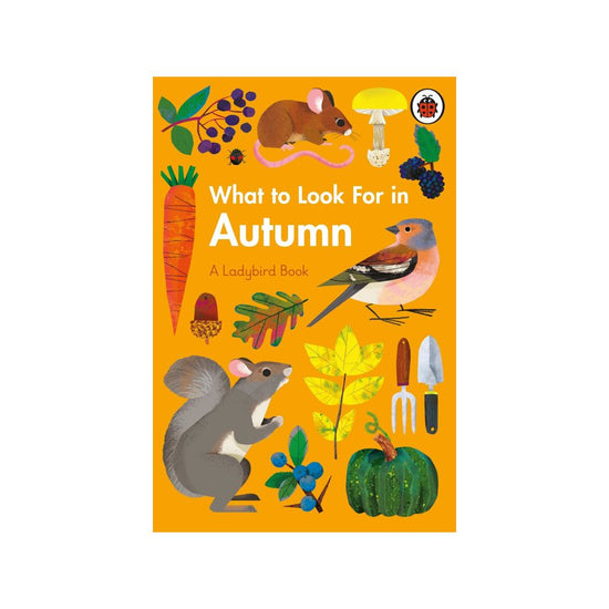 What to Look for in Autumn