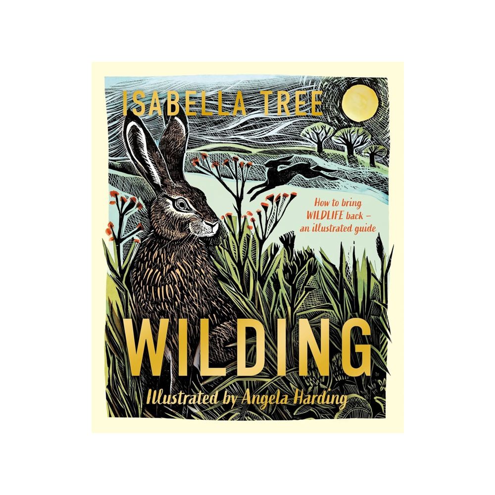 Wilding: How To Bring Wildlife Back - Illustrated