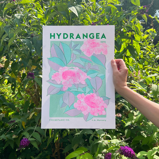 A person holding a risograph print in front of some flowers. Trint is a bright illustration of hydrangea flowers.