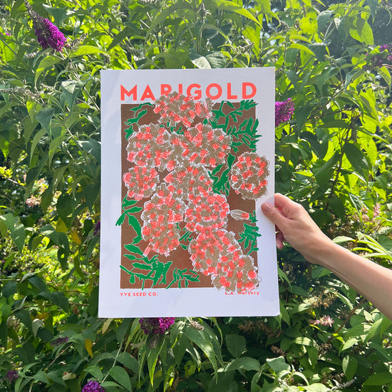 A person holding a risograph print in front of some flowers. Trint is a bright illustration of marigold flowers.