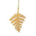 Bronze forest fern seen straight on against a white background.