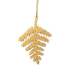 Bronze forest fern seen straight on against a white background.