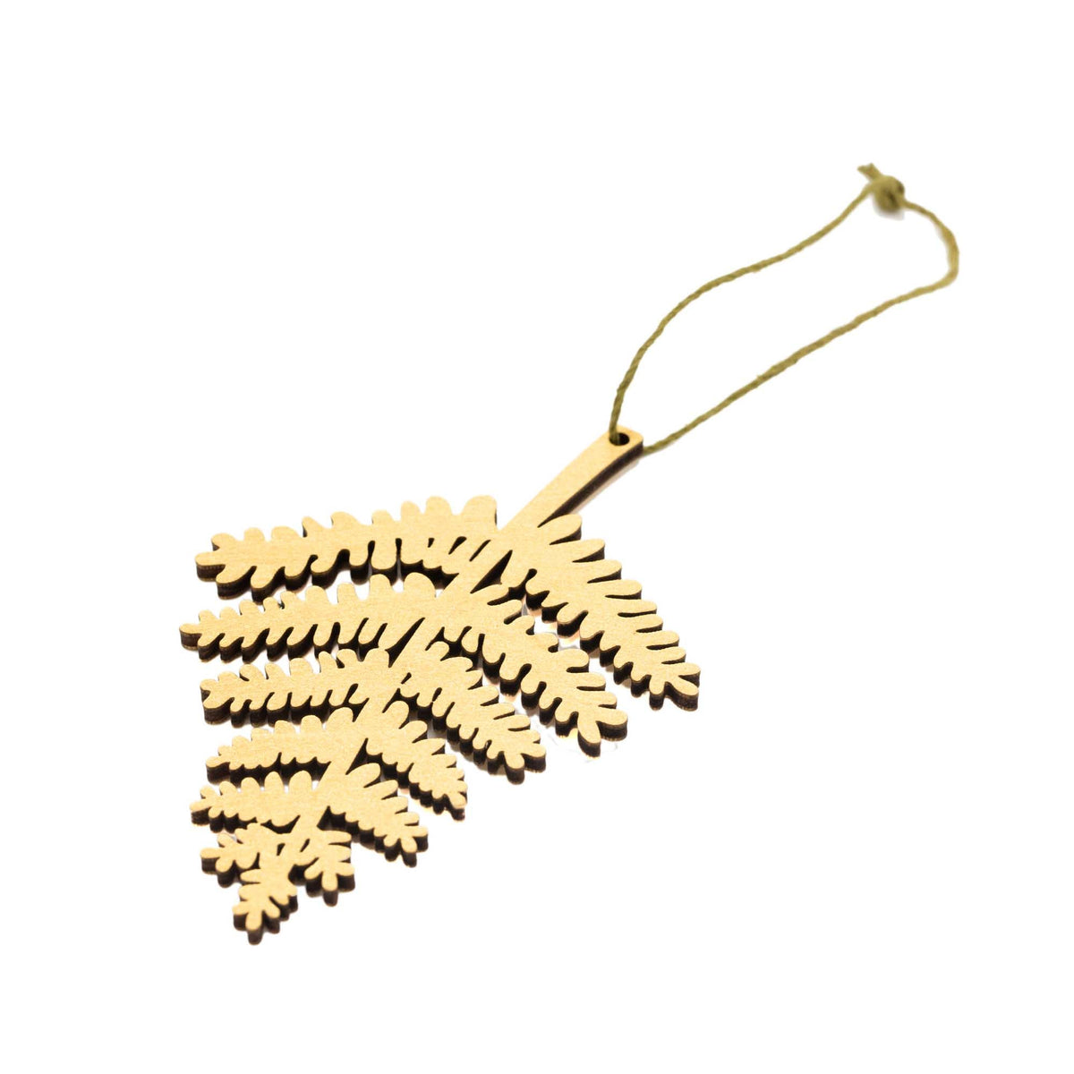 Bronze forest fern seen at an angle against a white background.