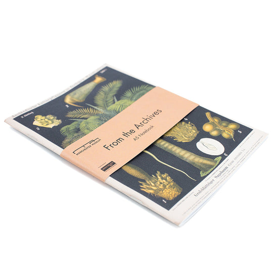 The Queen Sago palm canvas notebook with a dusky pink belly band aroundthe middle. The belly band has black text with museum branding and reading, From the Archives. Below in smaller text is says, A5 Notebook.