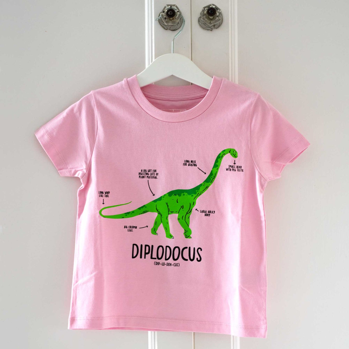Photograph of a Pale pink t-shirt with a green diplodocus on the chest. Under the dinosaur it's name and the pronunciation are written in black.