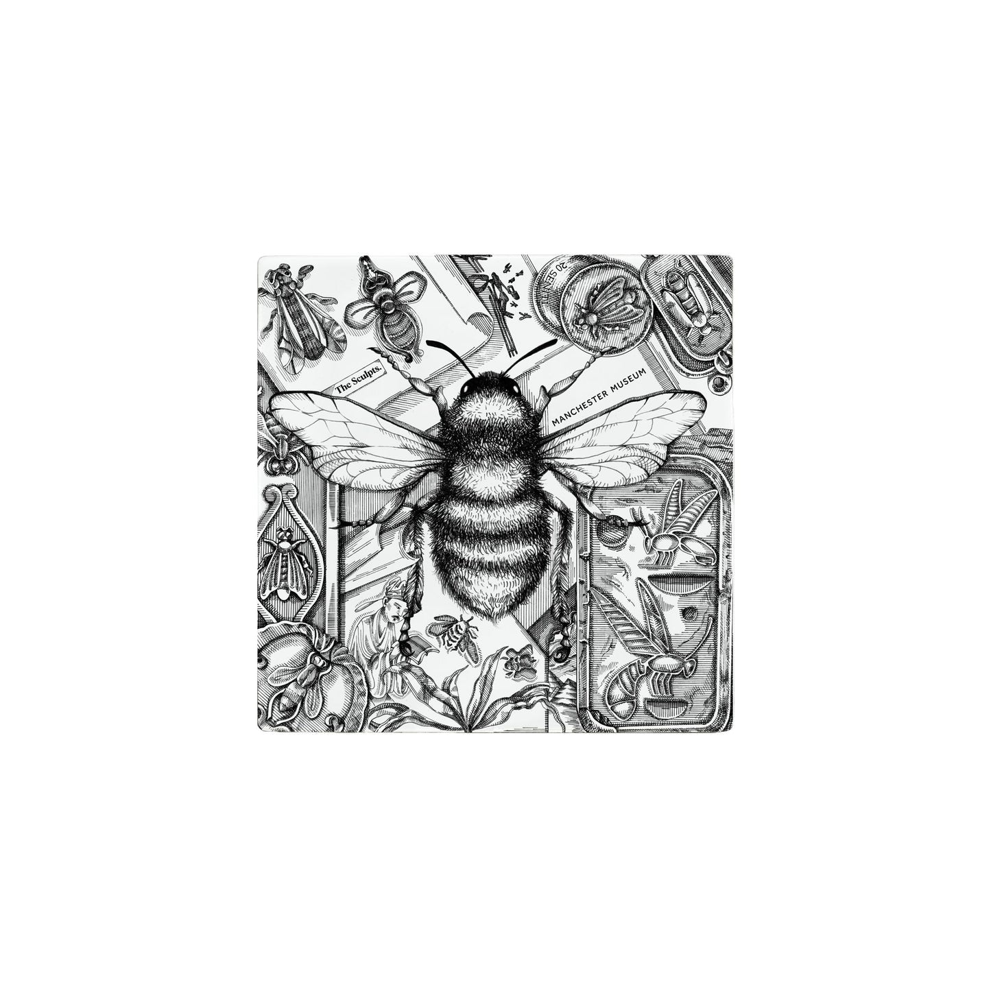 Manchester Museum Bee Tile with a Manchester bee sketch as the focal point. Various other insects  show in museum display cases are around the bee.