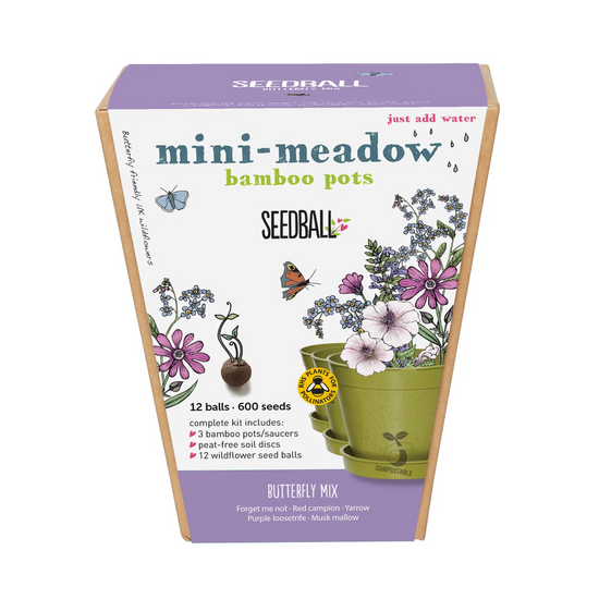 The cardboard box the butterfly mix mini meadow comes in. The front of the trapezoid box has pale purple at the top and bottom with text in dark teal reading, mini-meadow and below in smaller, light green, bamboo pots. The seedball branding is in black while illustrations of flowers in the bamboo pots.