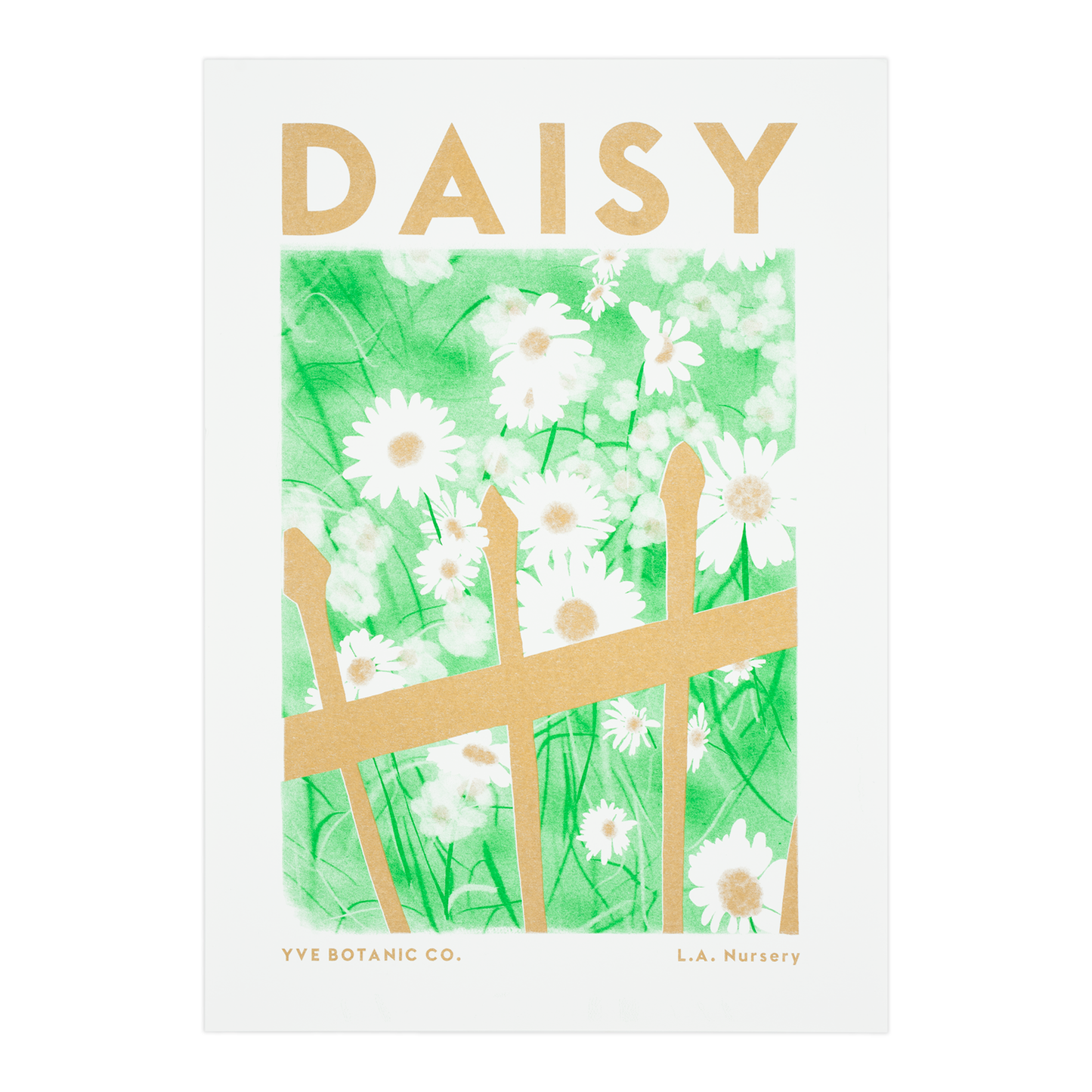 A risograph print of a daisy and fence with the word Daisy at the top. White background in image.
