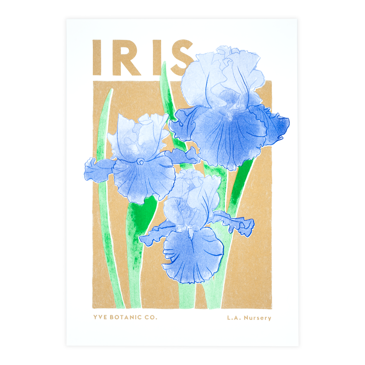 A risograph print featuring an illustration of an Iris