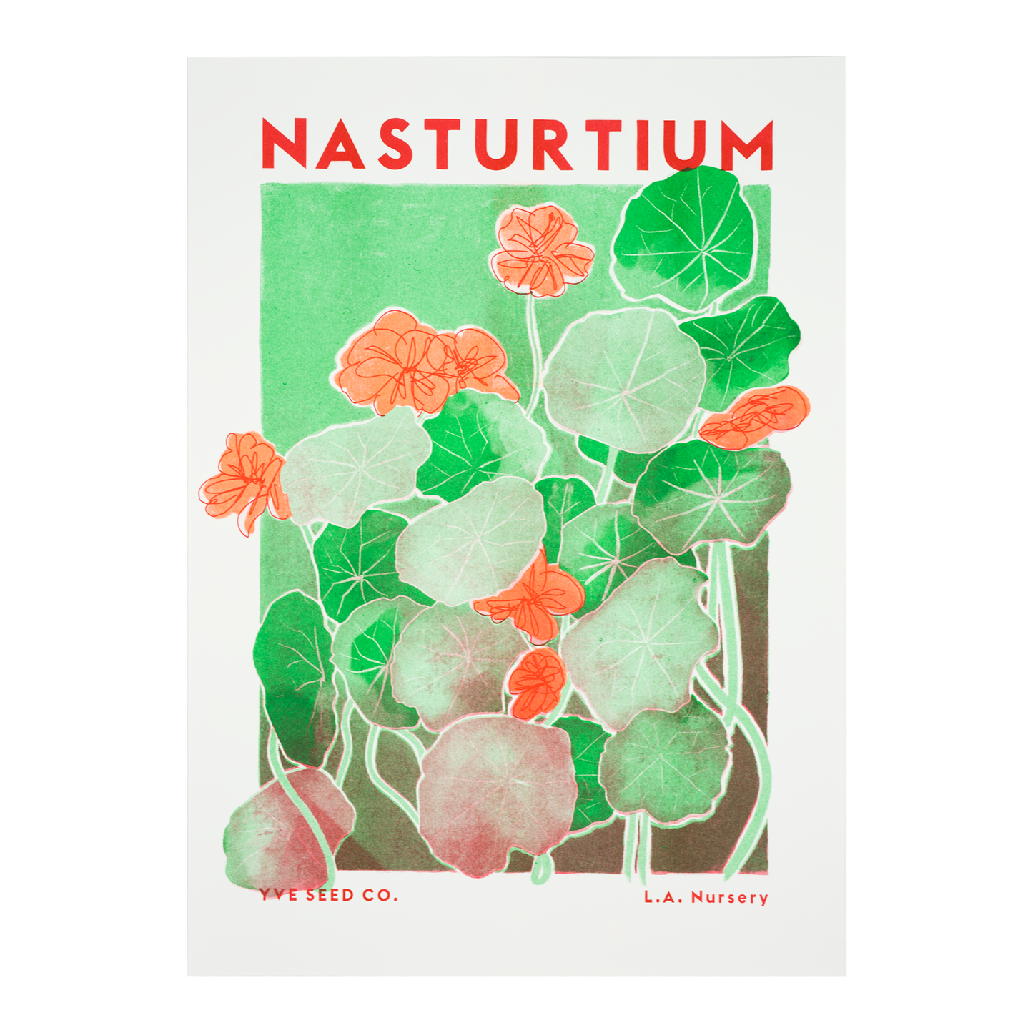 A risograph print featuring Nasturtium plants - white background