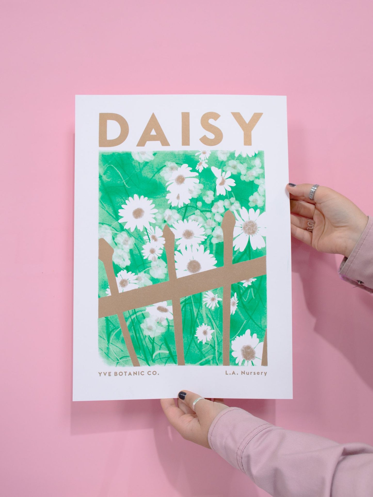 Load image into Gallery viewer, A someone holding a risograph print of a daisy and fence with the word Daisy at the top. Pink background in image.
