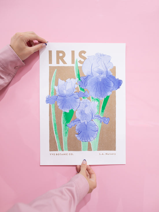 A person holding a risograph print featuring an illustration of an Iris against a pink wall