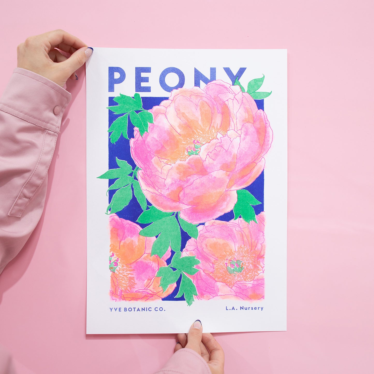 A person holding a print featuring an illustration of a Peony flower - pink background