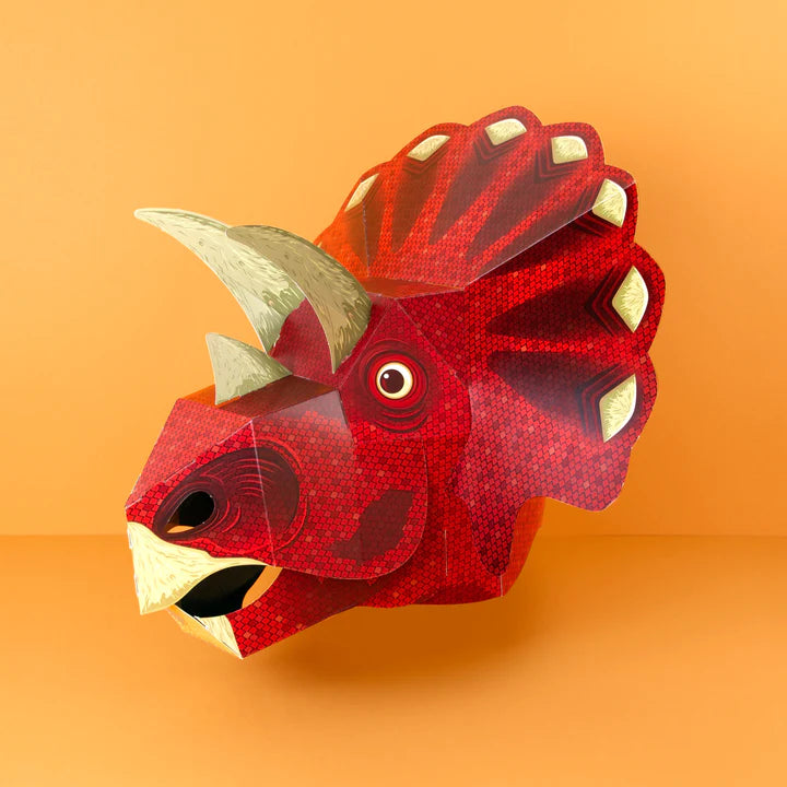 The assembled mask with the red side out.
