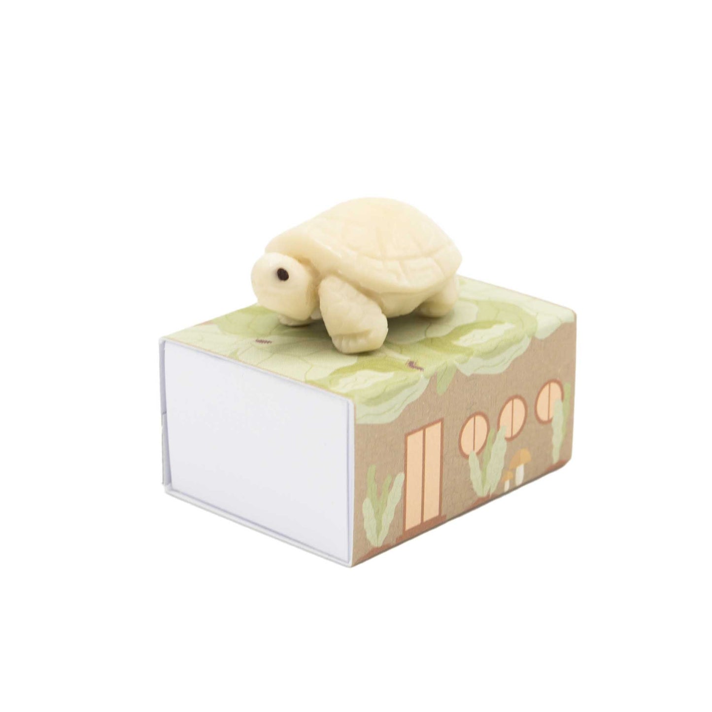Tagua tortoise on top of the matchbox house it arrives in.