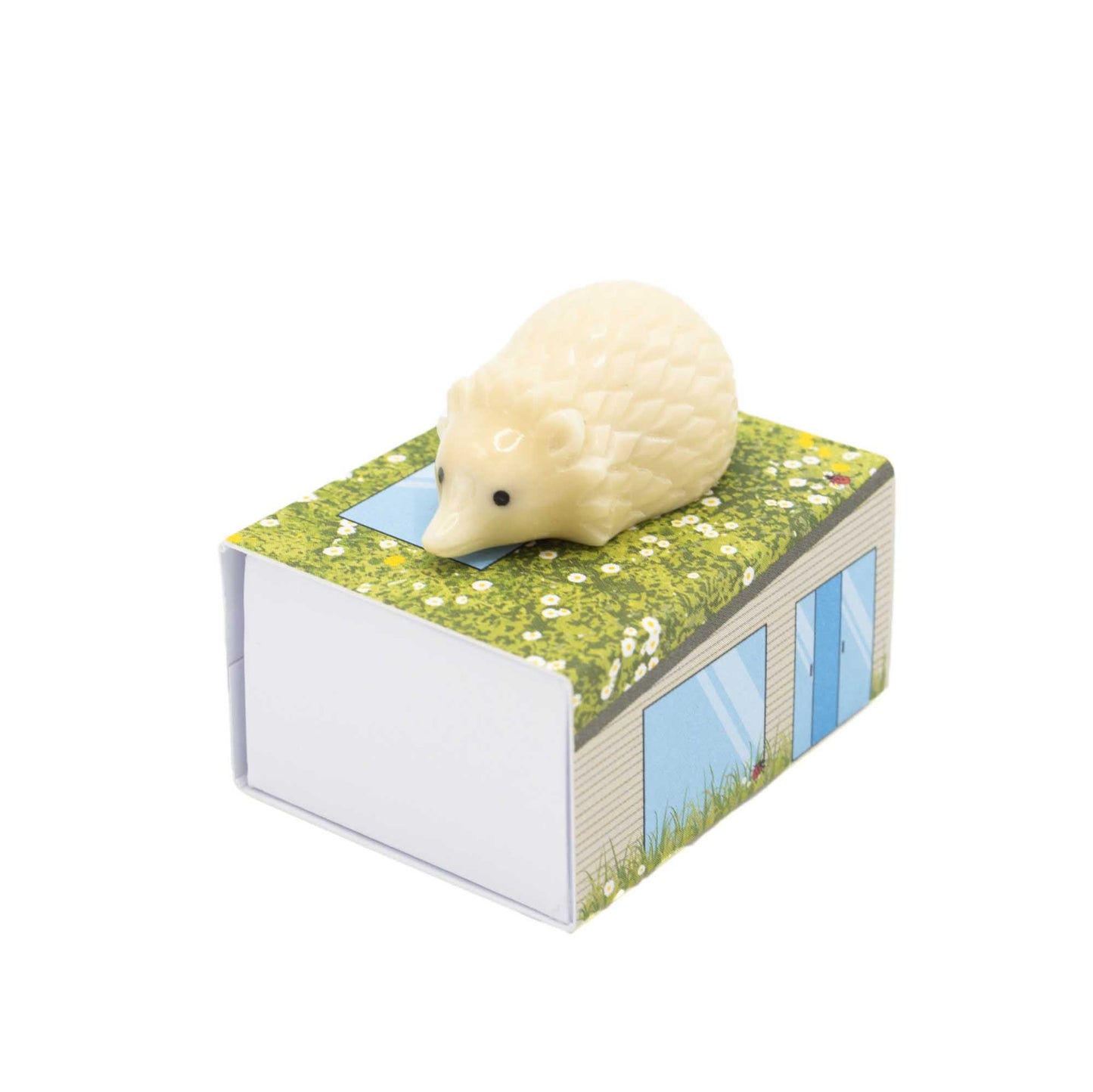 Tagua hedgehog on top of the little matchbox house it arrives in.