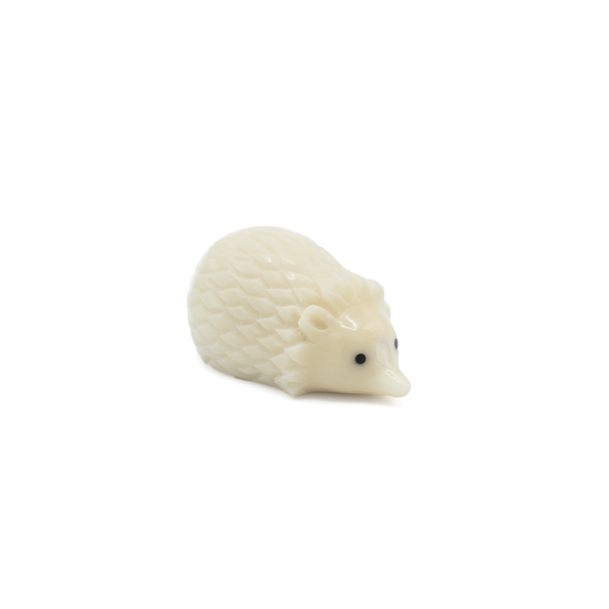 Tagua hedgehog on a white background.
