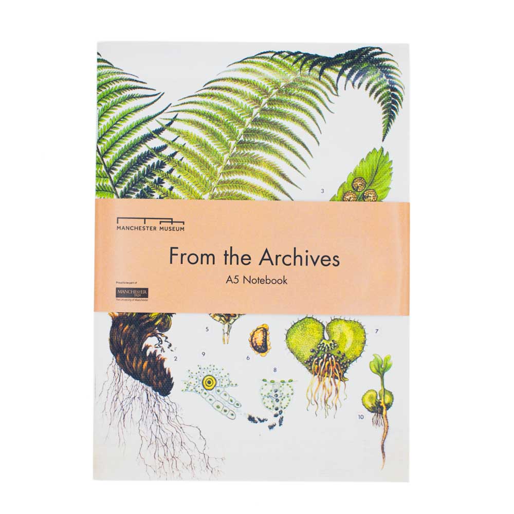 Load image into Gallery viewer, The light-coloured fern canvas notebook with a dusky pink belly band around the middle. The belly bandhas black text reading, from the archives and below in smaller lettering, A5 notebook.
