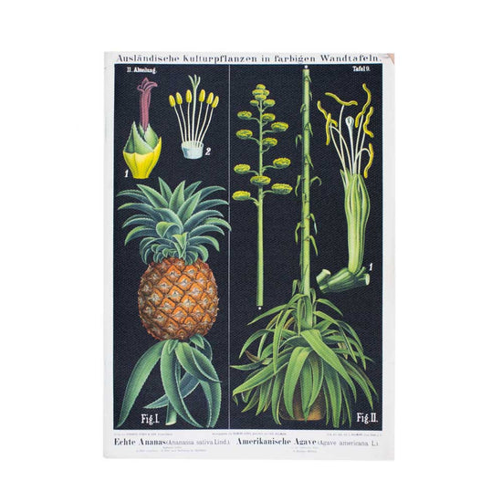 The pineapple and agave canvas notebook without the belly band so the entire print pattern with dark background and pineapple fruiting and flowering bodies can be seen.