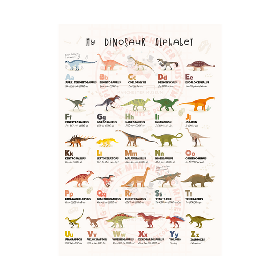 Print with the headline text, my dinosaur alphabet. Dinosaurs with various colours in rows of five with names to match the alphabet.