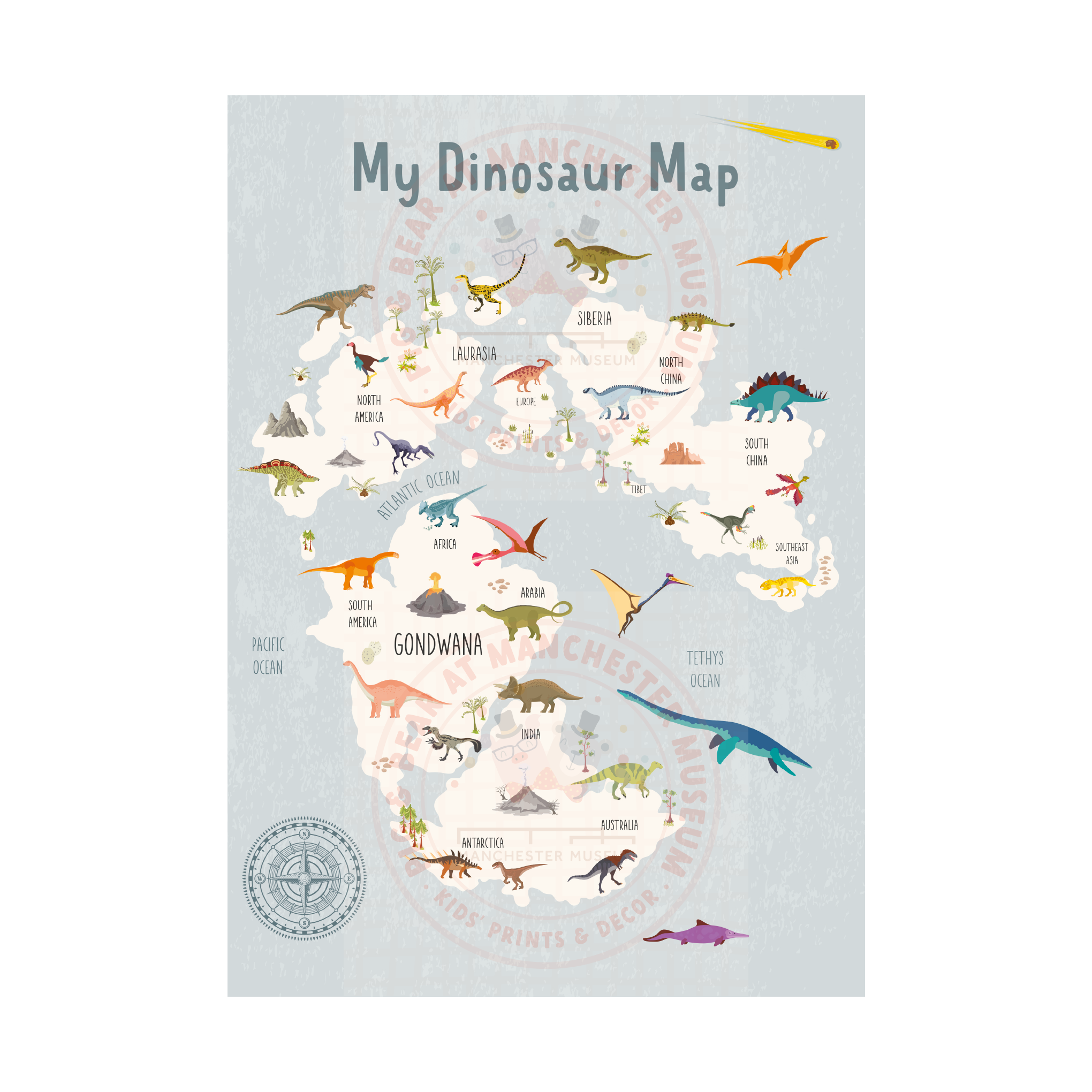 The Dinosaur Collection – Manchester Museum
